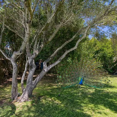 Nuraghe * Porto Rotondo
