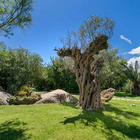 Nuraghe 别墅 罗通多港